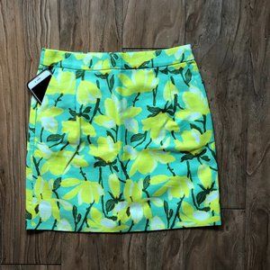 J. Crew Pencil Skirt